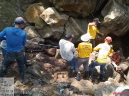 065D42B0-CB3F-4A7F-93FE-31ED0C2CB93C