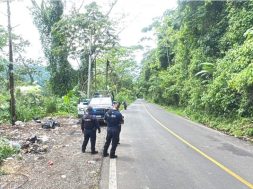 07035609-0B9F-4DF1-82FE-7317DC707EB7