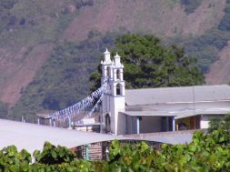 4C470B6A-A6AD-4789-A8CF-97B6D8455030