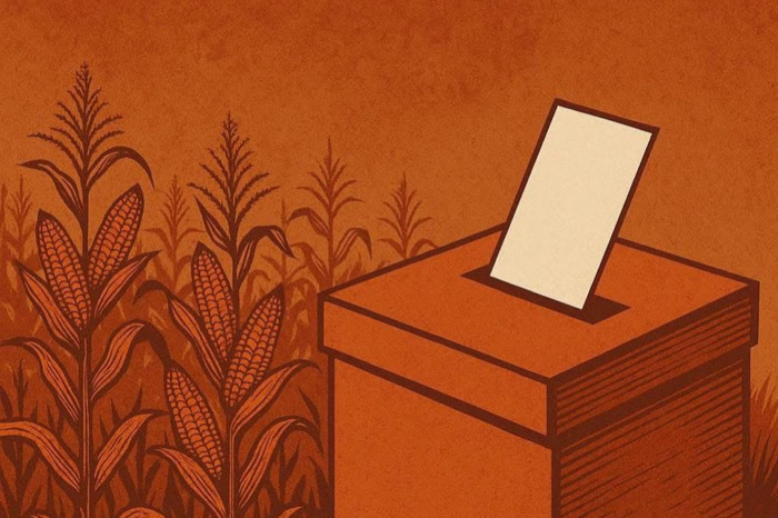 Del granero del sur… al semillero de votos