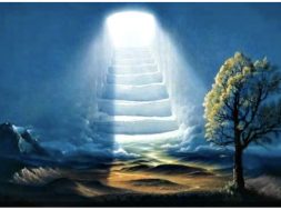 64AB0567-ABBF-450C-B26C-68B3A438FF8F