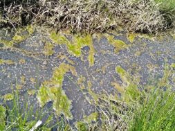 6D056561-2D8A-4185-B954-148BB4E4D895