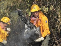 AADA66EA-A353-4073-B8A8-62AA8A25545D