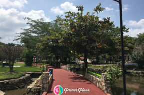 B89C1F03-1ECD-4AD2-B216-484BA2DC05FC