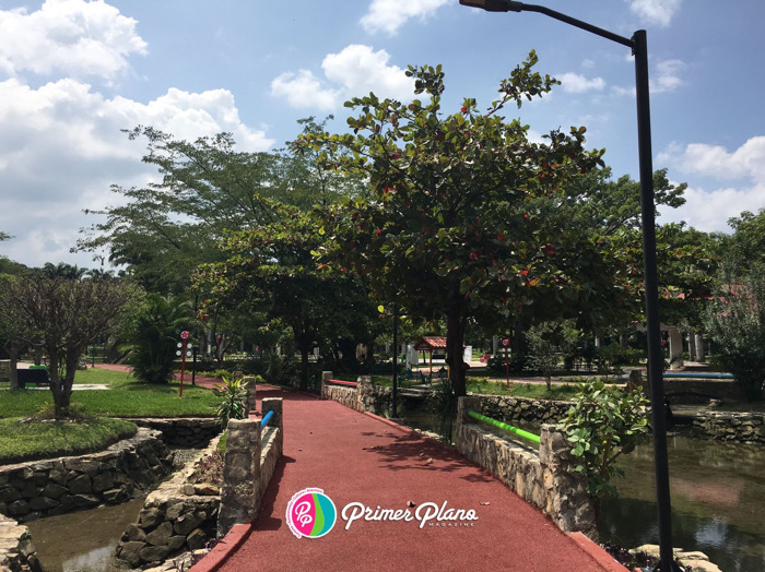 Donde florece la historia: Joyyo Mayu, legado natural de la capital chiapaneca