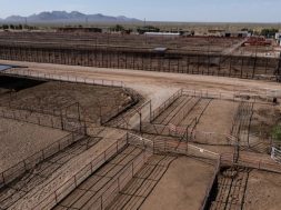 BBF926A3-DB9C-4B77-8AEB-3DC7FB0873AC