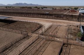 BBF926A3-DB9C-4B77-8AEB-3DC7FB0873AC