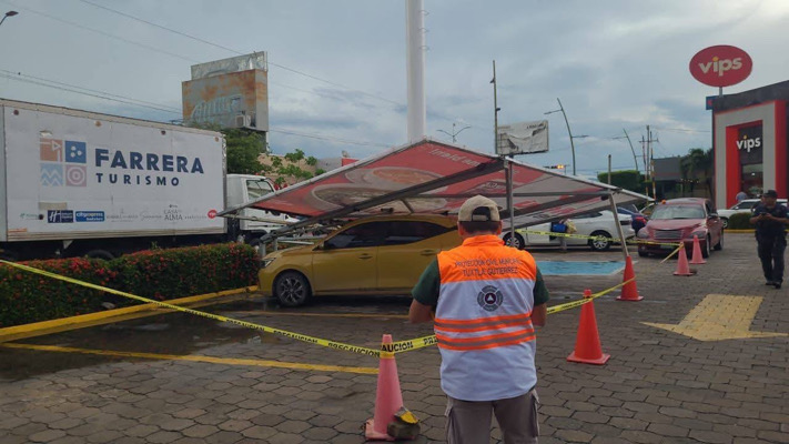 Lluvias intensas y vientos de hasta 80 km/h provocan caída de árboles y encharcamientos en Tuxtla Gutiérrez: PC