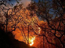 DA718542-938E-4936-9D80-B6A17C076B3D