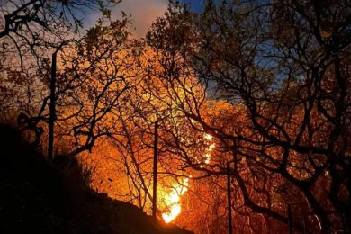 DA718542-938E-4936-9D80-B6A17C076B3D