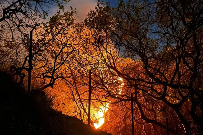 Quemas agrícolas y cultura / Crónicas de Frontera