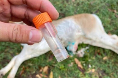 E7629586-8A3F-4B31-84A3-3A5FB6D15974