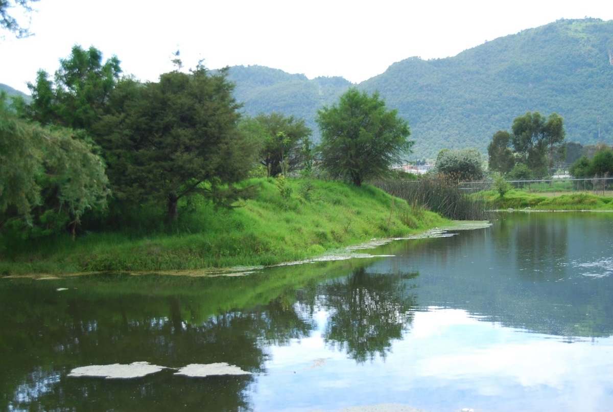 Humedales y ríos de San Cristóbal / A Estribor