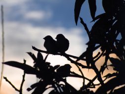 18845D4B-6CF1-4508-AAFB-4A71604CF4DF