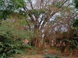 248F6463-DE6D-43DC-B55A-3F4BF1036E6D