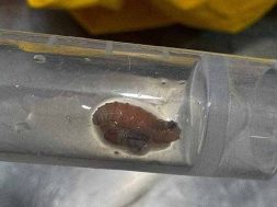 28493089-9AD1-41B4-AABC-63B56B22A1D9