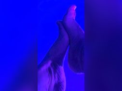 2AC0E228-25BA-417E-B577-137850760913