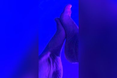 2AC0E228-25BA-417E-B577-137850760913