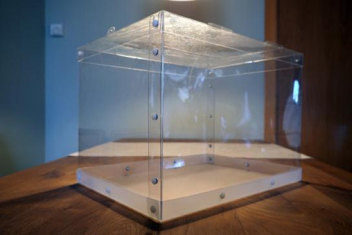 Pocas nueces / La Feria