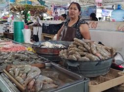 55A2AE01-B8C4-494F-B43B-53A398AC4E83