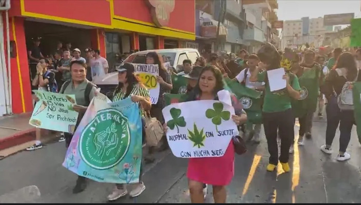 Obtienen primer permiso chiapaneco para uso recreativo de cannabis