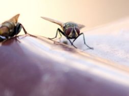 62116CE6-F31E-46AD-A189-5C50CBA62590