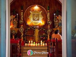 690ED8B7-FE98-43A5-B0E2-C0D25AA11BB2