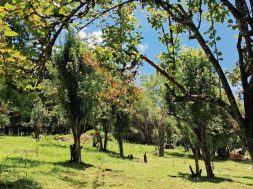 793D77B9-3978-4CB3-969B-86A10AFCC237