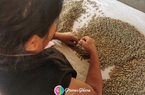 7B2AD107-8F1F-4D88-9BD1-DAE81E0A18C8