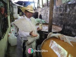 7DE99DD0-C009-4AE5-8299-6FC2706CD5A1