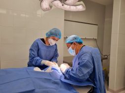 896E5268-4D32-4252-8226-08CD81F2BDF7