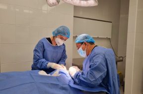 896E5268-4D32-4252-8226-08CD81F2BDF7