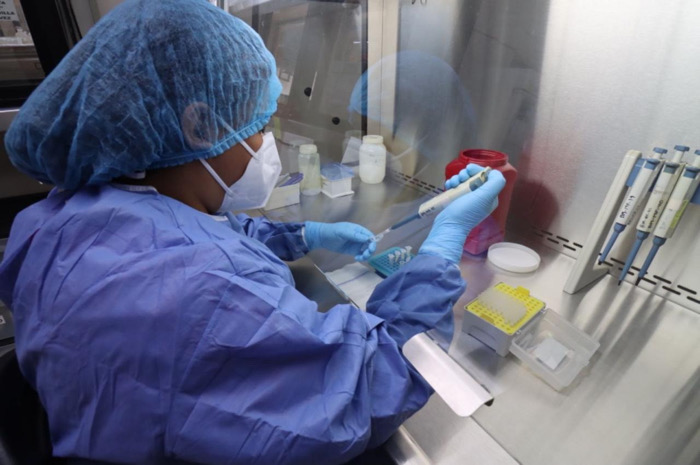 Chiapas registra 304 casos de dengue; se ubica entre los estados con más contagios