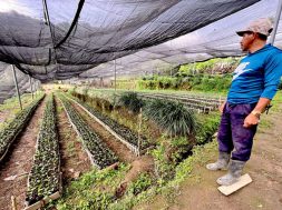 A4A64686-A3DD-47BA-BEF1-89C21D6E28D7