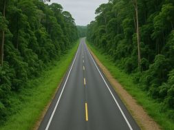 AC6C65F5-41E1-4414-9E01-B9376BD13DD0