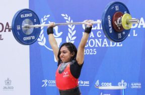 B6B3D1D7-3E92-401E-921A-8FAA82188E7C