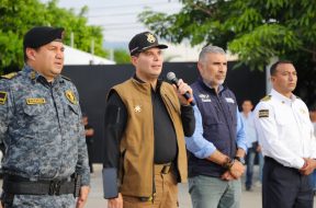 D50C3F0E-7953-495B-9461-2A2DAB3578CE