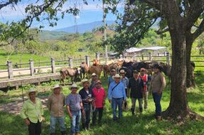 D5C195FD-7B1F-4D4A-B119-D7B6F97C9BA3