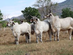 DDD2CC38-0370-443F-BD3E-5FA792DBF3A9