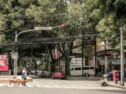 EF2E279A-55A2-48CC-BCF6-150E8C2137B5