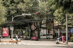 EF2E279A-55A2-48CC-BCF6-150E8C2137B5