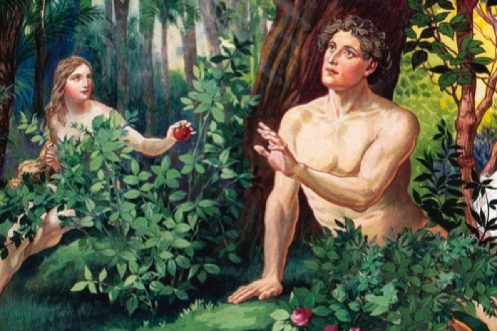 Ven, ven, ven / Galimatías