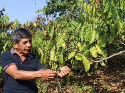 16355ABB-1E55-4FBD-AEF7-F2DF7DC22340