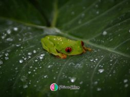 215F8E05-2CB0-45FC-AF04-2535767C1589