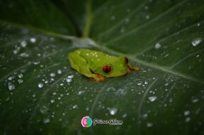 215F8E05-2CB0-45FC-AF04-2535767C1589