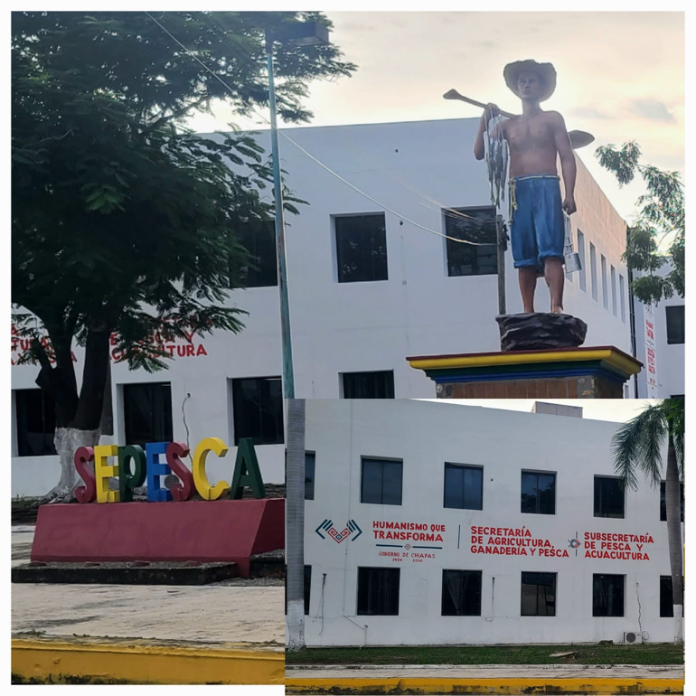 Tilapia con doble discurso