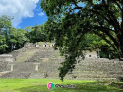 5F85A5B5-93D1-4FB0-8143-3F2E3BD31D1E