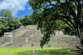 5F85A5B5-93D1-4FB0-8143-3F2E3BD31D1E