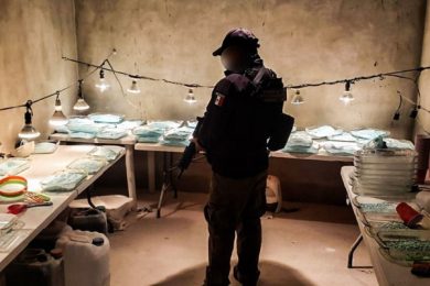 6E736BC8-FF26-4258-8C48-BE746E167429