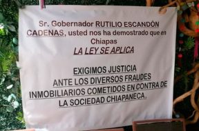 7355C441-B8FF-43F8-BB99-C6385C796549